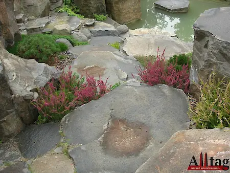 Bild in der Bildergallerie zu Basalt